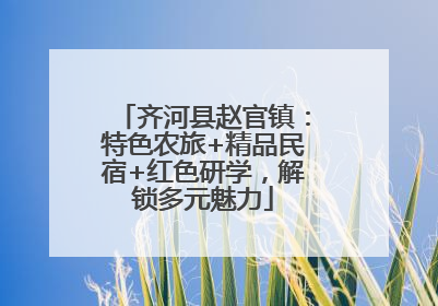 齐河县赵官镇：特色农旅+精品民宿+红色研学，解锁多元魅力
